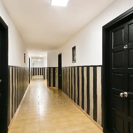 Sallés 3*